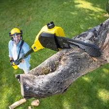 Best Lawn Grading and Leveling  in Rio Rancho Estates, NM